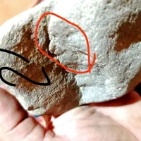 دوعددسنگه قیمتی وباستانی|کلکسیون اشیاء عتیقه|تهران, امام زاده عبدالله|دیوار