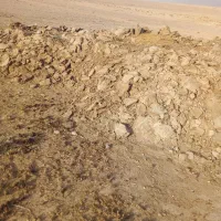 کودگوسفندی|لوازم جانبی حیوانات|سده (خراسان جنوبی), |دیوار