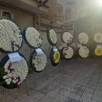 اجاره ،کرایه ی تاج گل مصنوعی خیریه ای تعدادتخفیف|خدمات پذیرایی، مراسم|تهران, دبستان|دیوار