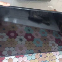 تلویزیون 55|تلویزیون و پروژکتور|بجنورد, |دیوار