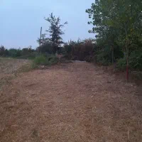 فروش خانه  کلنگی با  9 هزار متر زمین در گیلان|فروش زمین و ملک کلنگی|کوچصفهان, |دیوار
