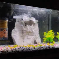 آکواریوم شیشه خم ( با تمام تجهیزات )