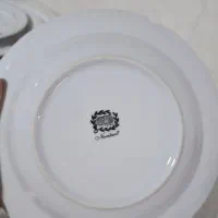ظروف چینی