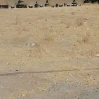 تانکر فروشی|عمدهفروشی|سقز, |دیوار