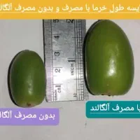 فروش کود جلبک دریایی الگالند