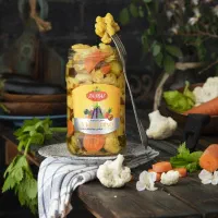 خیارشور و ترشیجات نمایندگی|خوردنی و آشامیدنی|پاسارگاد, |دیوار