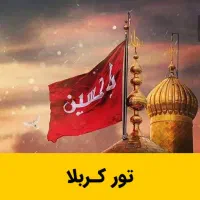 تور کربلا دوسر هوایی با مجوز و نامه به ارگانها vip