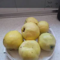 به تازه چیده شده سرحدی