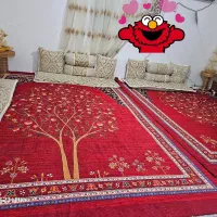 شانل|فرش|رشت, سعدی (تختی)|دیوار