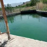 2000-متر-باغ-میوه-استخر-دار