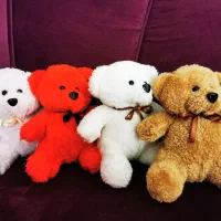 خرس 20 و 30|اسباب‌‌بازی|مشهد, طلاب|دیوار