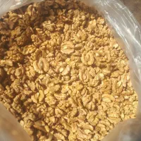 گردو تویسرکان