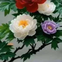 راهنمایی ازدواج