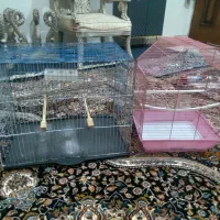 قفس|لوازم جانبی حیوانات|فردیس, داوری|دیوار