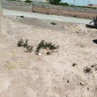 10قصب زمین روستای مومن آبادمعاوضه با ماشین هسته|فروش زمین و ملک کلنگی|بردسیر, |دیوار