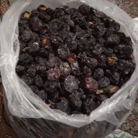 الو خشک