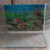 آکواریوم شیشه خم|ماهی|مریوان, |دیوار