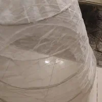 ژپون ۵ فنزه