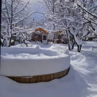 کارگر رستوران