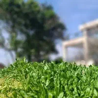 نیازمند خانم جهت نظافت منزل