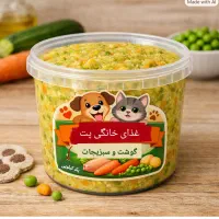 غذای سالم و خانگی پت
