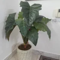 درختچه مصنوعی