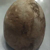 شهاب سنگ|کلکسیون اشیاء عتیقه|بناب, |دیوار