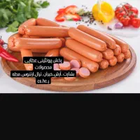 استخدام حسابدار یا منشی جهت کار در پخش پروتیینی