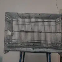 قفس پرنده|لوازم جانبی حیوانات|نسیم‌شهر, |دیوار