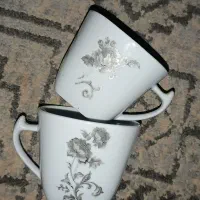 سرویس چینی 12 نفره مربع|ظروف سرو و پذیرایی|مشهد, ولیعصر (شهرک غرب)|دیوار