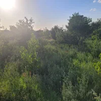 زمین کشاورز به متراژ ۲۰۰۰ متر