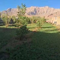 باغ و زمین مسکونی