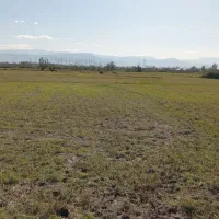 ۱۱۳۰۰مترشالیزارسنتی/زیرقیمت واقعی/چسبیده به انشعاب|فروش زمین و ملک کلنگی|آستانه اشرفیه, |دیوار