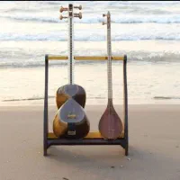 آموزش تار و سه تار