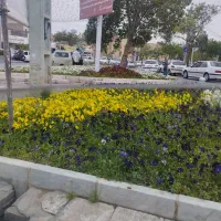 زمین کشاورزی ۱۲۰متر