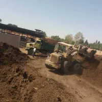 پخش کود حیوانی گاوی پوسیده به تعداد ۲۰۰۰ کامیون|خدمات باغبانی و درختکاری|هشتگرد, شهرک سهیلیه|دیوار