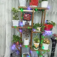 استند گل بخاطر اینکه جا ندارم میفروشم