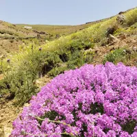 نیازمند راهنمایی