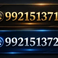 09921513711