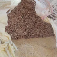 گندم برای حیوون وپرنده|لوازم جانبی حیوانات|داران, |دیوار