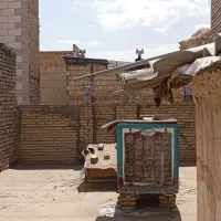 فروش-خانه