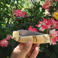 دسته های کارد وچاقو در رنگهای متفاوت