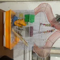 فروش قفس