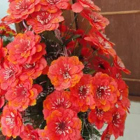 گل مصنوعی ۴عدد