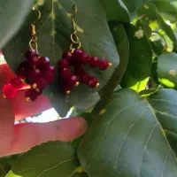 گوشواره متنوع|جواهرات|تهران, شمس‌آباد|دیوار