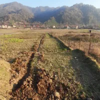 فومن /قلعه رودخان /۲۶۵متر زمین /سرمایه گذاری