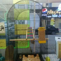 قفس بزرگ به همراه لوازم
