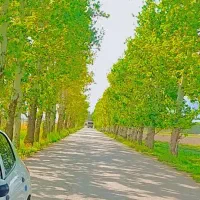 500متر-باغ-شهری-حسن-آباد-سنجرلو