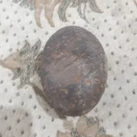 سنگ های تزینی وقیمتی|کلکسیون اشیاء عتیقه|کوهدشت, |دیوار