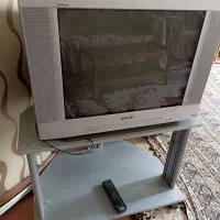 تلویزیون